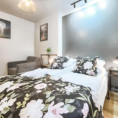 Visitzakopane Halny Apartment דירה *