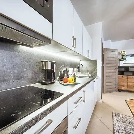 Visitzakopane Halny Apartment דירה *